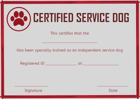 10 Service Dog Certificate Templates Ideas Certificate Templates 