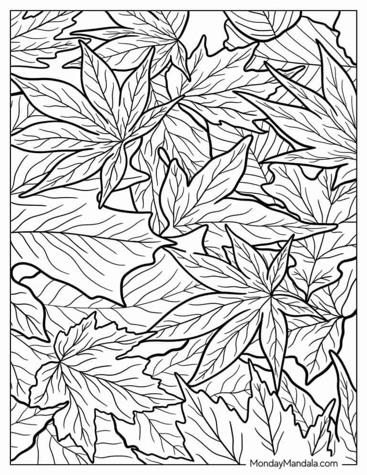 20 Fall Leaves Coloring Pages Free PDF Printables Fall Leaves 