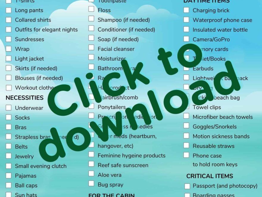 Actualiser 103 Imagen Cruise Checklist Fr thptnganamst edu vn