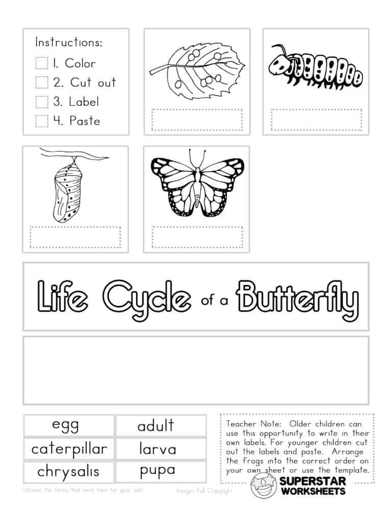 Butterfly Worksheets Superstar Worksheets