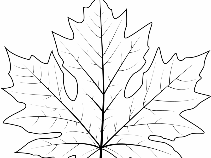 Coloring Leaf Printables