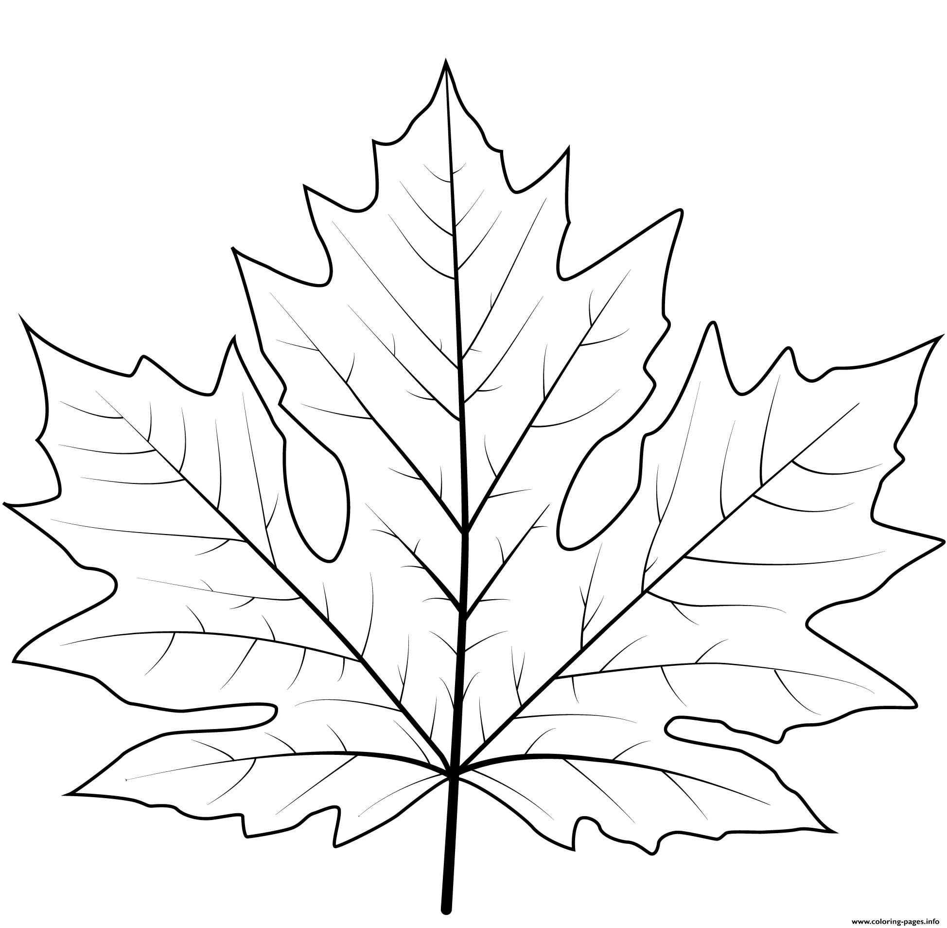 Coloring Leaf Printables