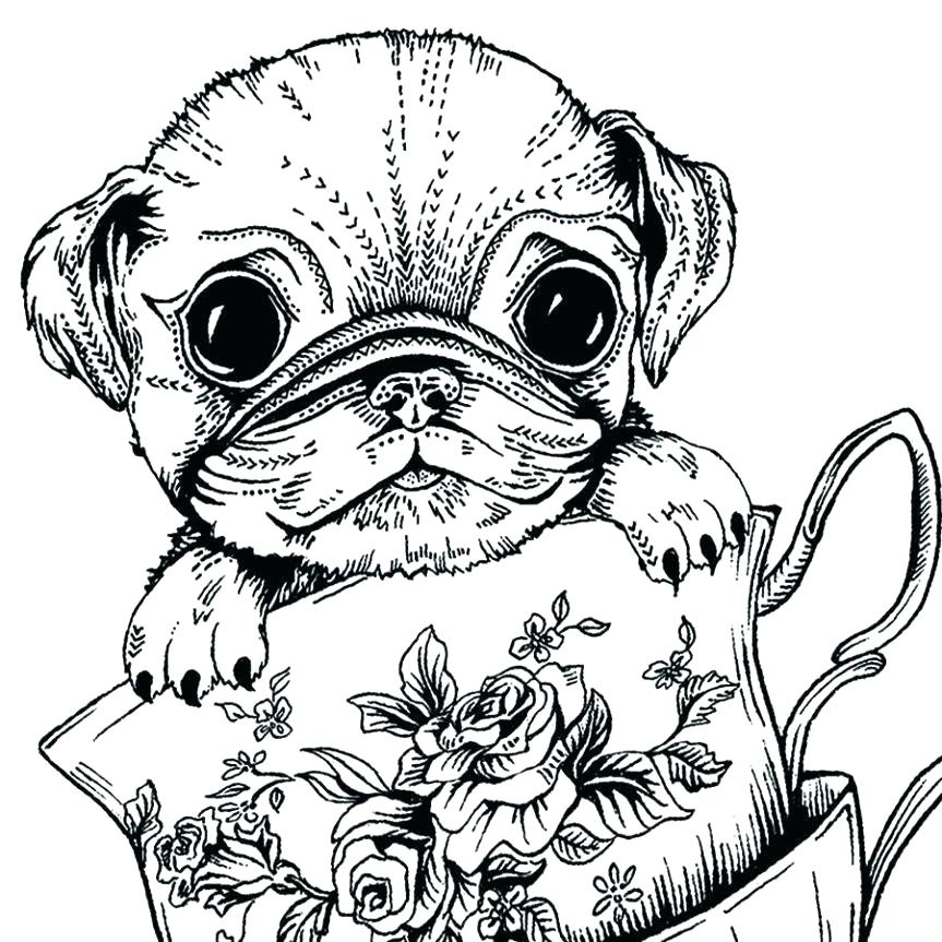Cute Pug Coloring Pages At GetColorings Free Printable Colorings 