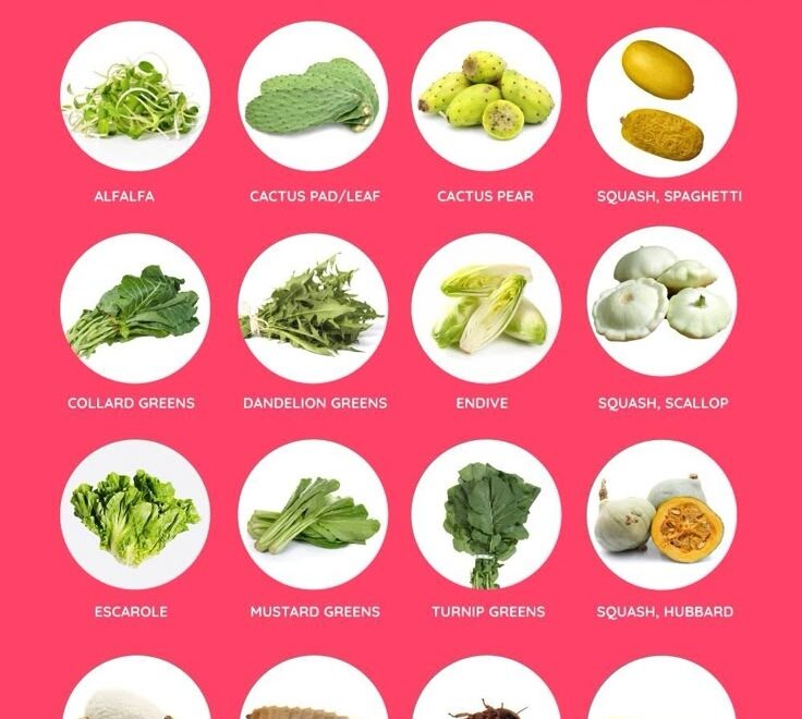 Daily Routine Printable Bearded Dragon Food Chart Printable And