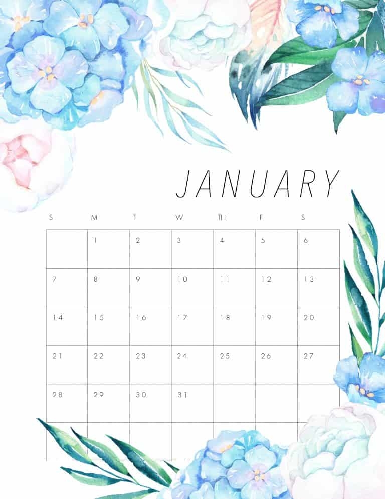 February Floral Calendar 2025 Angus Foley February Floral Calendar 2025 Angus Foley