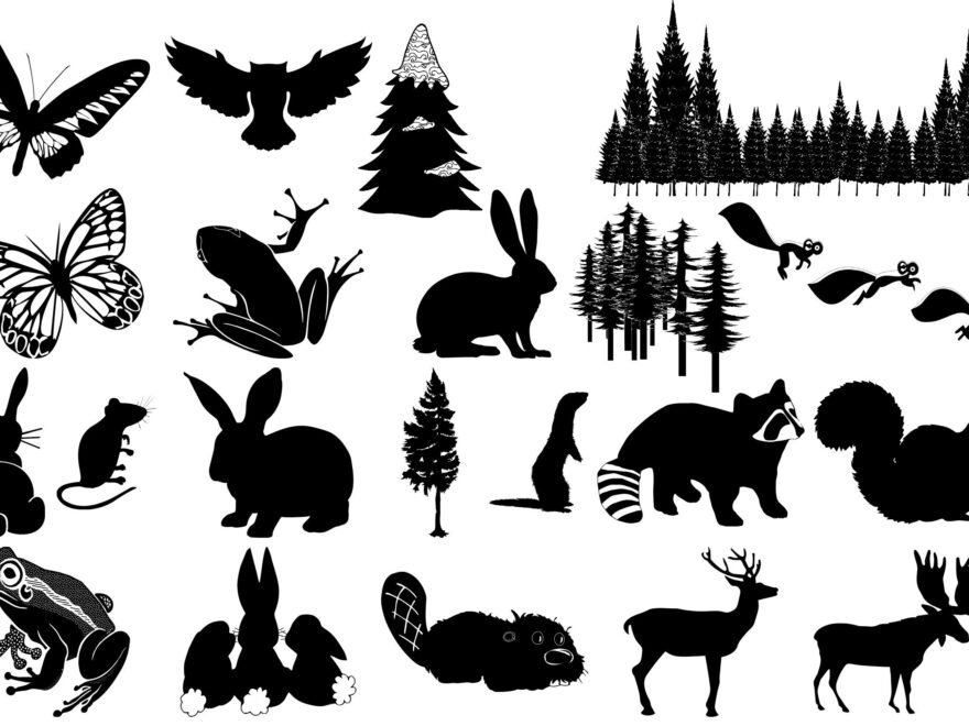 Forest Animal Silhouettes AI EPS PNG By Me And Ameli TheHungryJPEG