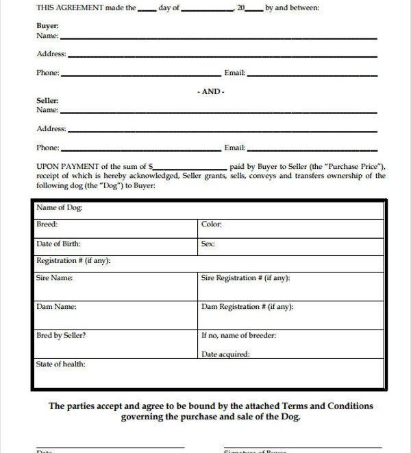 FREE 7 Puppy Sales Contract Samples Templates In PDF MS Word
