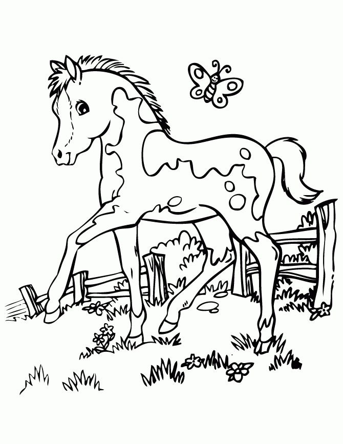 Free Horse And Pony Coloring Pages Download Free Horse And Pony 