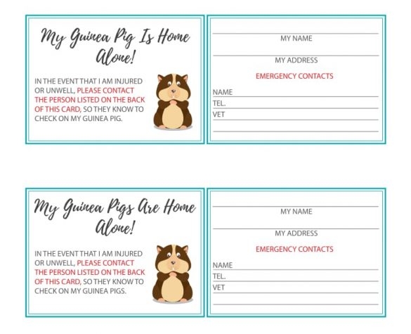 My Pet Is Home Alone Card Printable