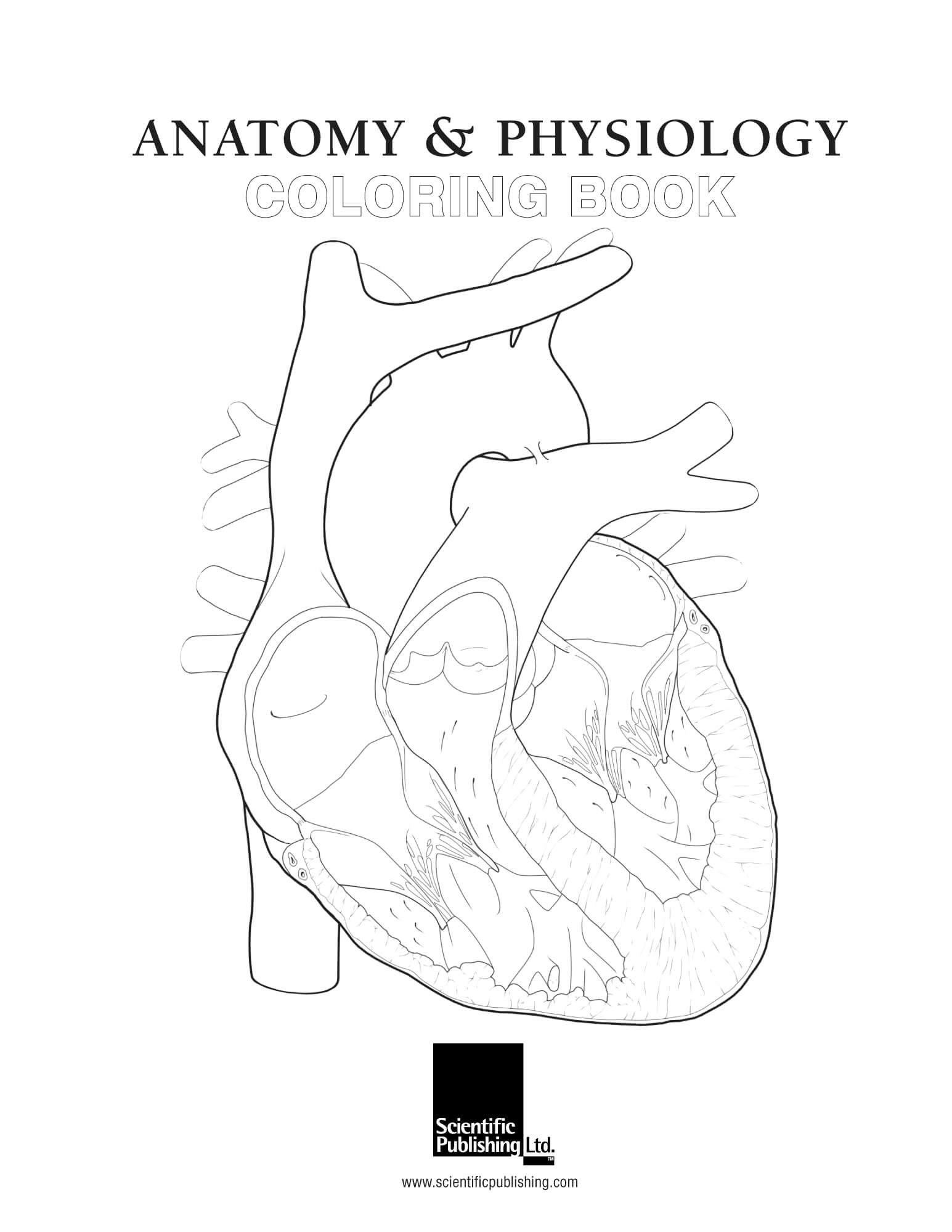 Free Printable Anatomy And Physiology Coloring Pages A Fun Way To Learn