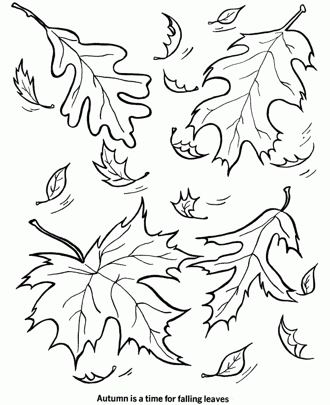 Free Leaf Coloring Pages Printable