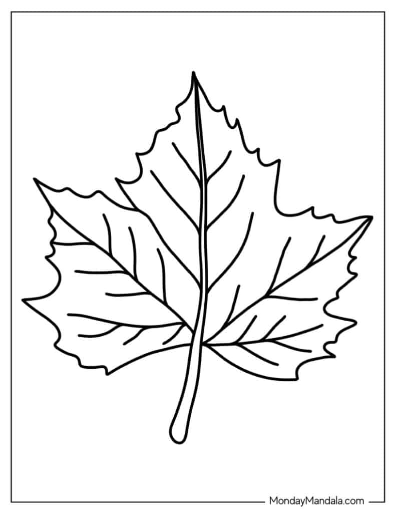 Free Printable Leaf Coloring Pages Free Printables Hub