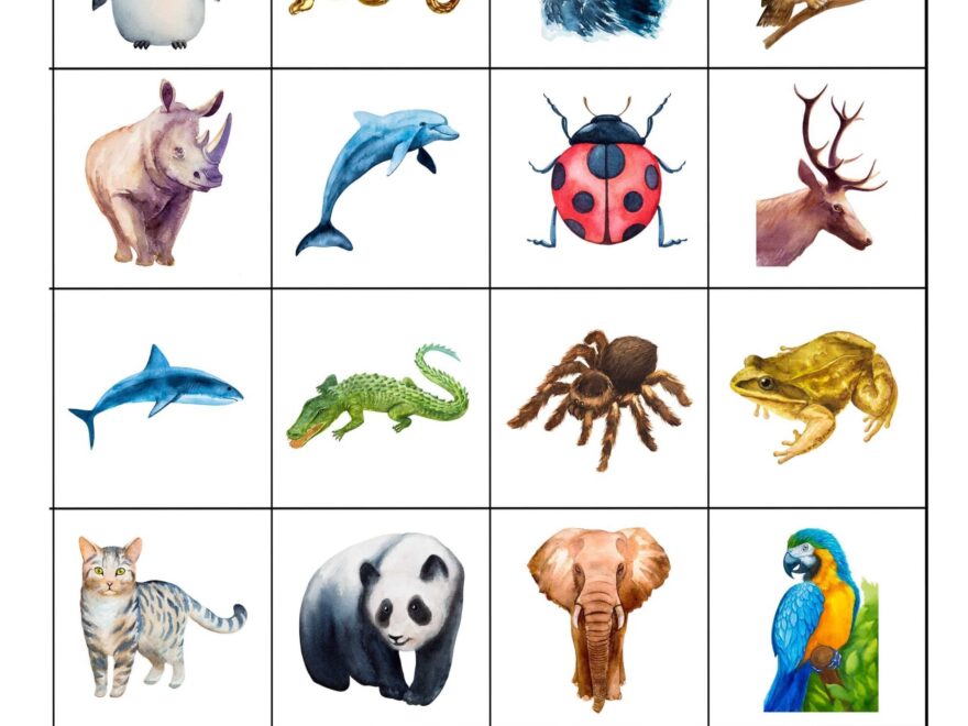 Free Printable Matching Cards Free Printable Card