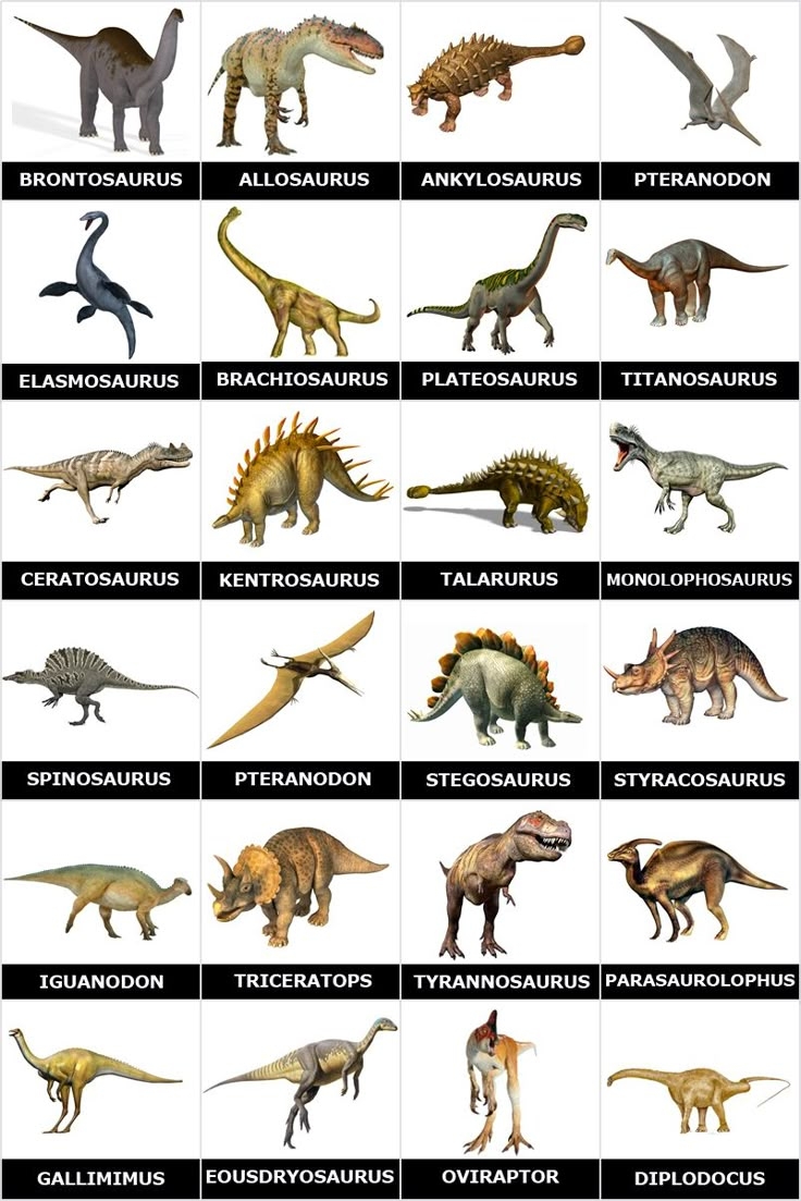 Free Printable Memory Game With Pictures Of Dinosaurs And Their Names 