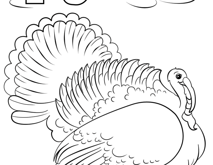 Free Printable T Is For Turkey Worksheets AlphabetWorksheetsFree