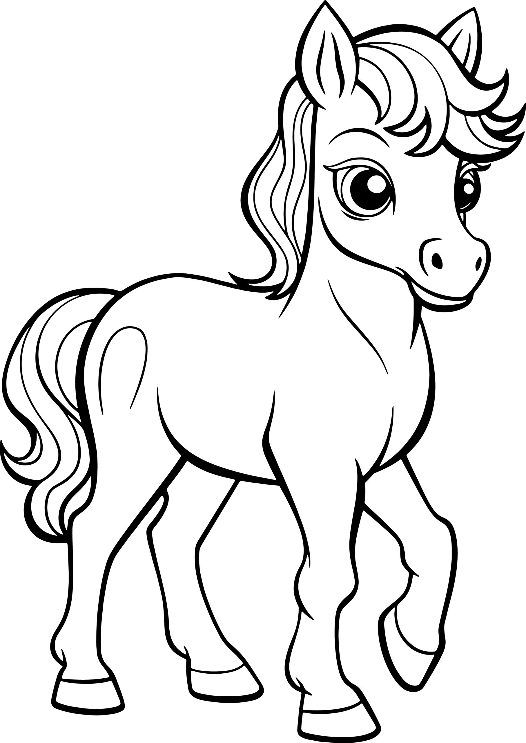 Horse Coloring Book A Fun Horses And Ponies Beautiful Colouring Pages 