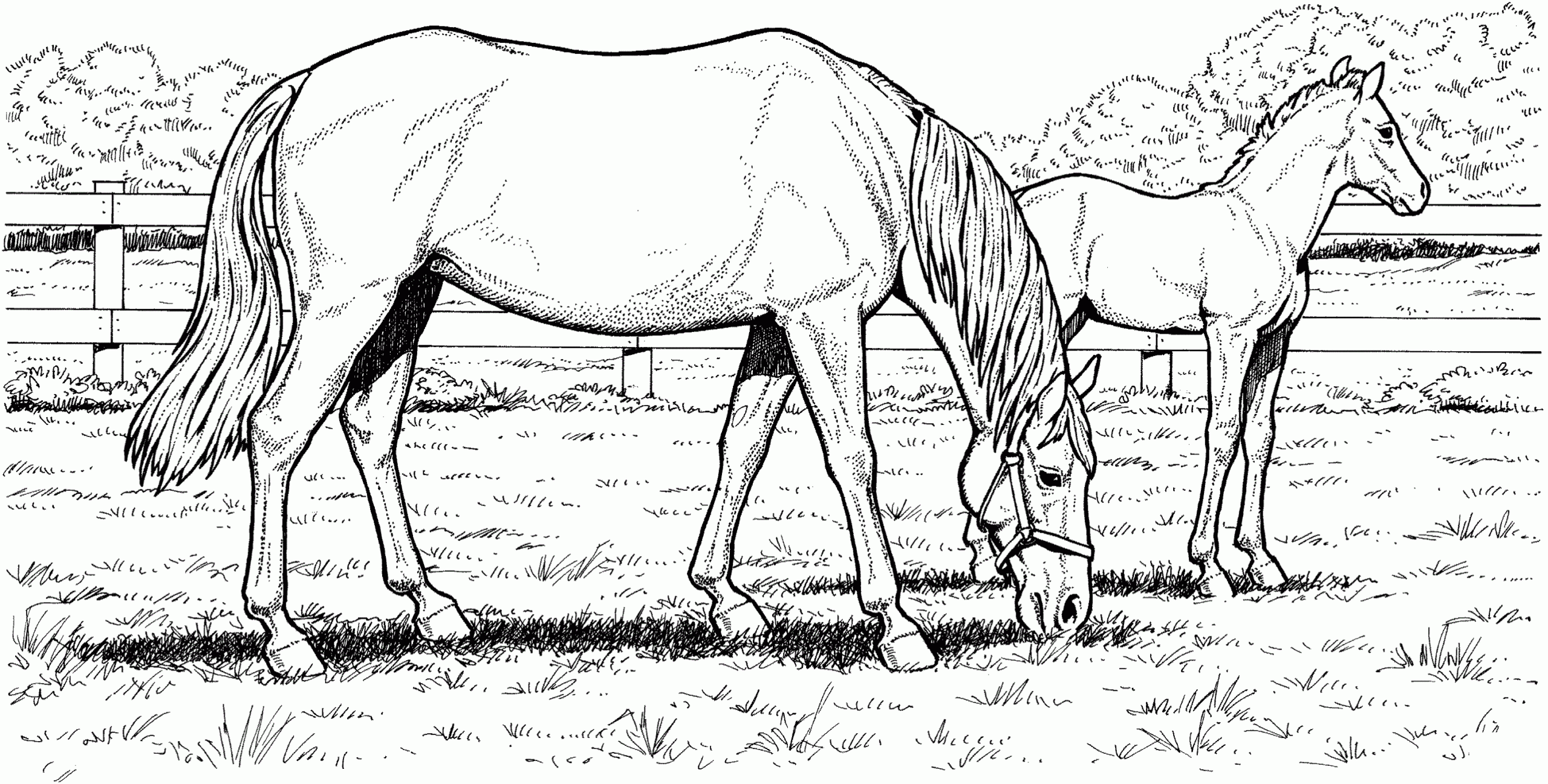 Horse Coloring Pages For Kindergarten Learning Printable
