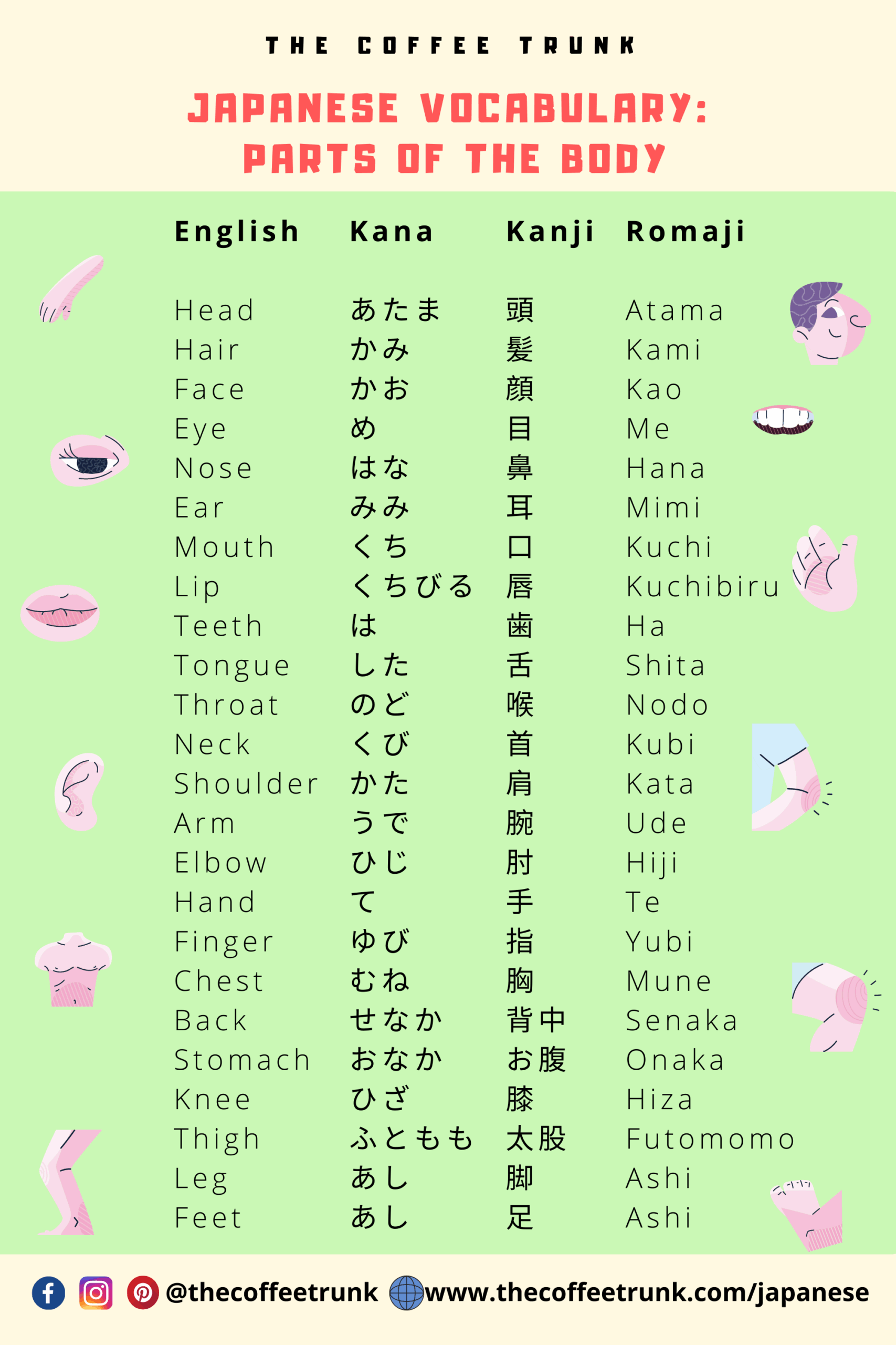 Teaching English To Japanese Printable For Adults