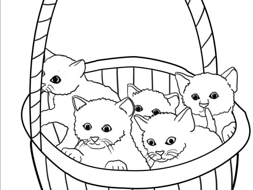 Kitten Coloring Pages For Preschoolers ColoringBay