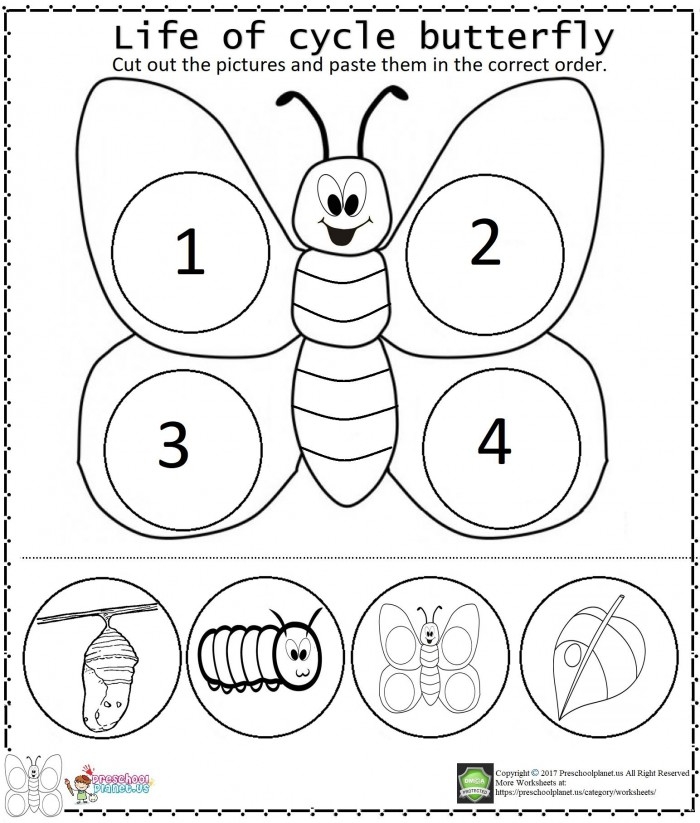 Free Printable Butterfly Worksheets For Second Grade