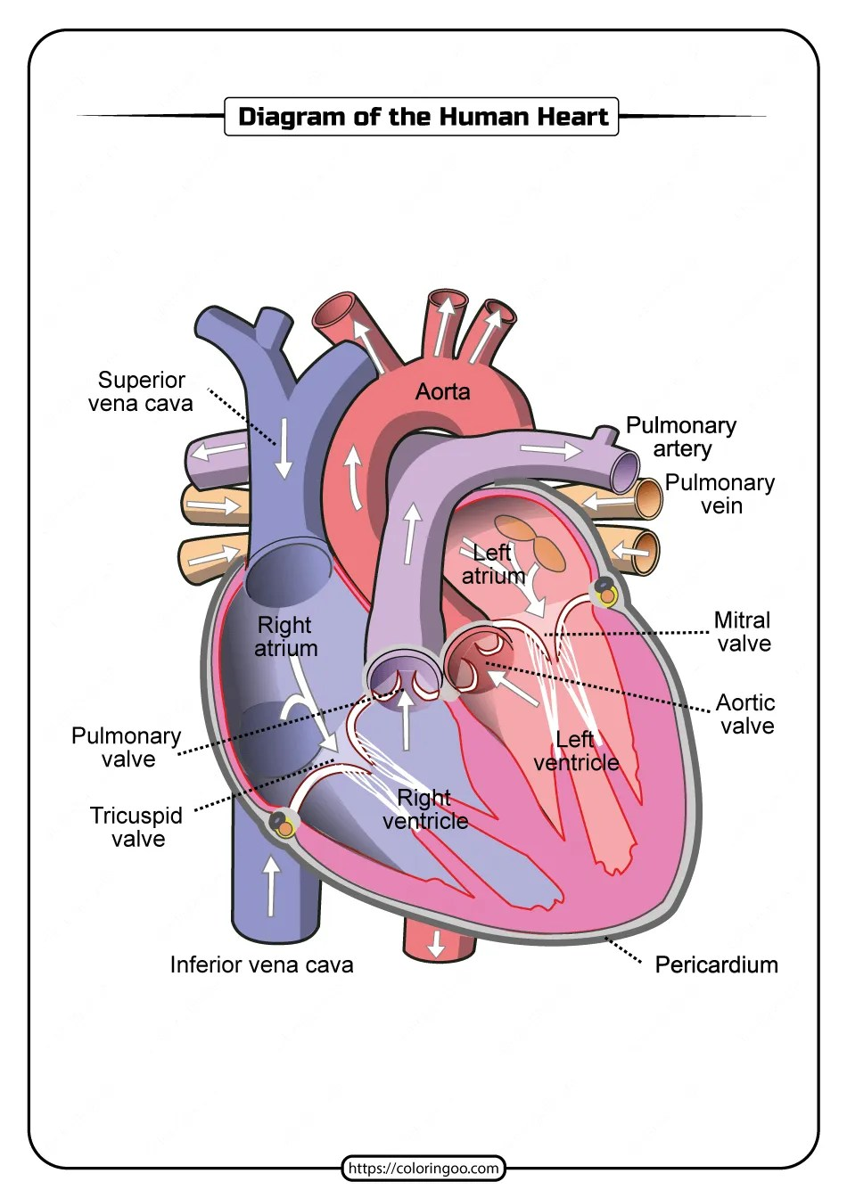 Load Wiring Printable Heart Diagram Label Printable