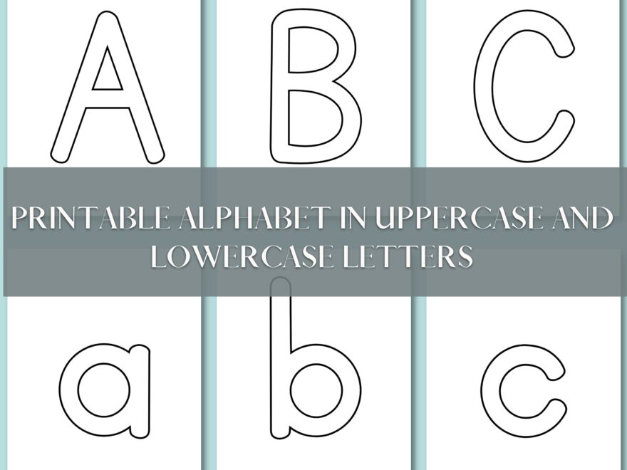 Lower Case Alphabet Letters To Color