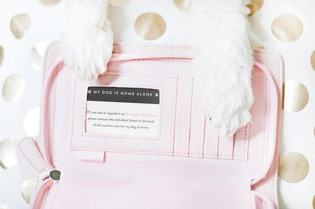 My Dog Is Home Alone Card Free Printable Emergency Card