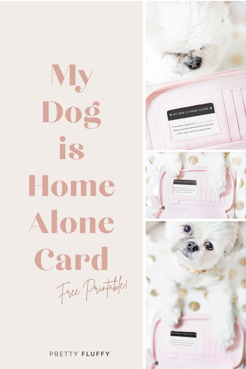 My Dog Is Home Alone Card Free Printable Emergency Card