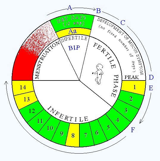 Natural Family Planning NFP Circle Chart Baby Mamma Pinterest 