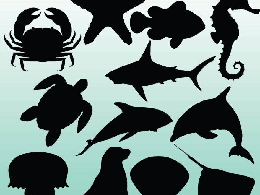 Ocean Animal Silhouette Printable