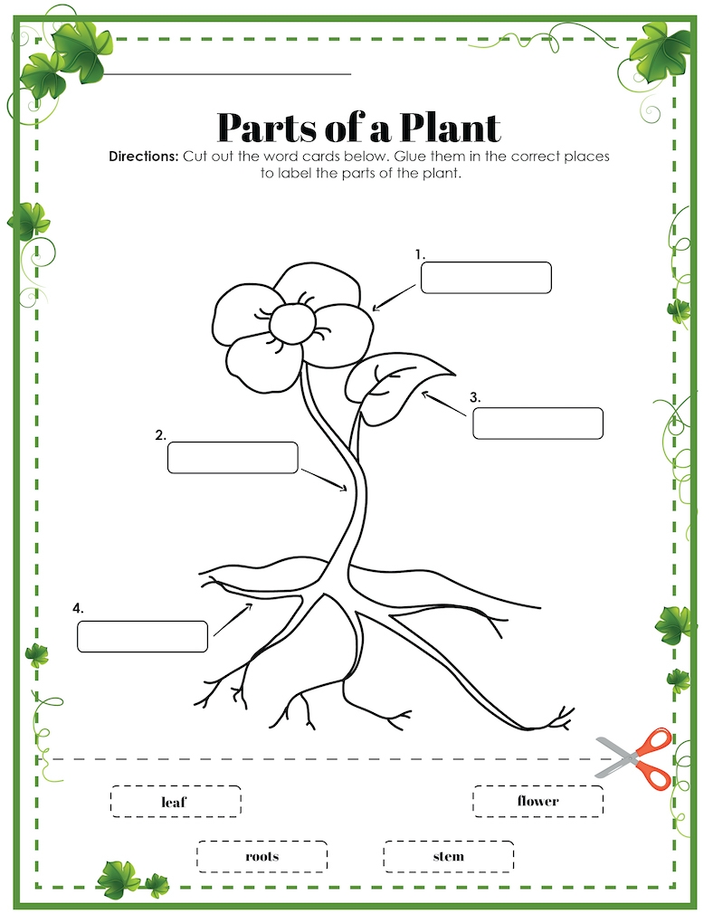 Parts Of A Plant Worksheet For Kids Free Printable 24hourfamily