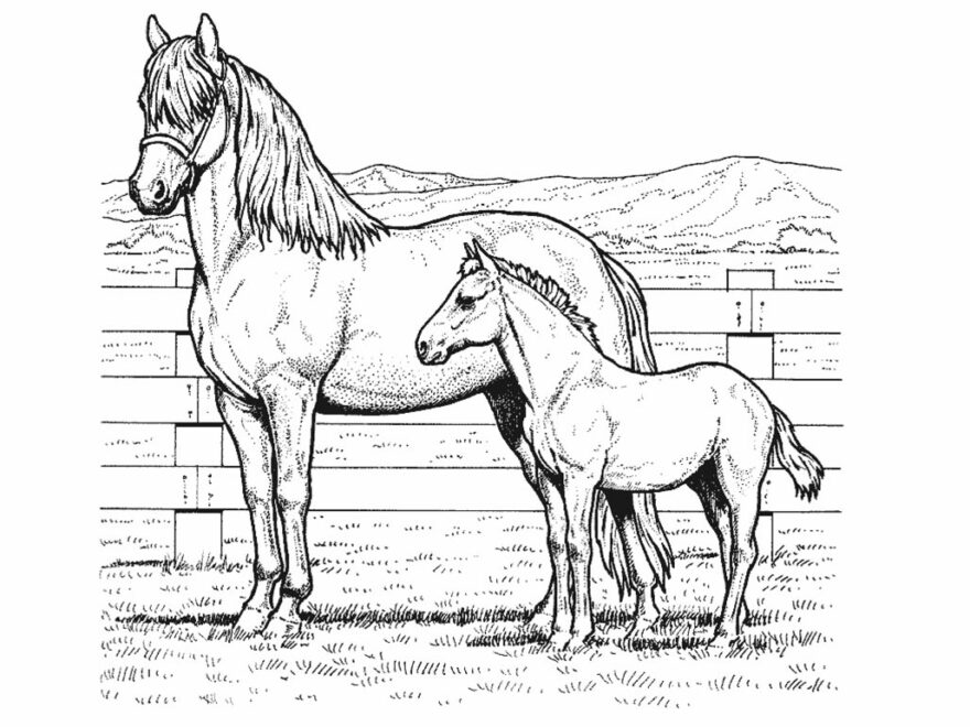 Pony Coloring Pages Best Coloring Pages For Kids