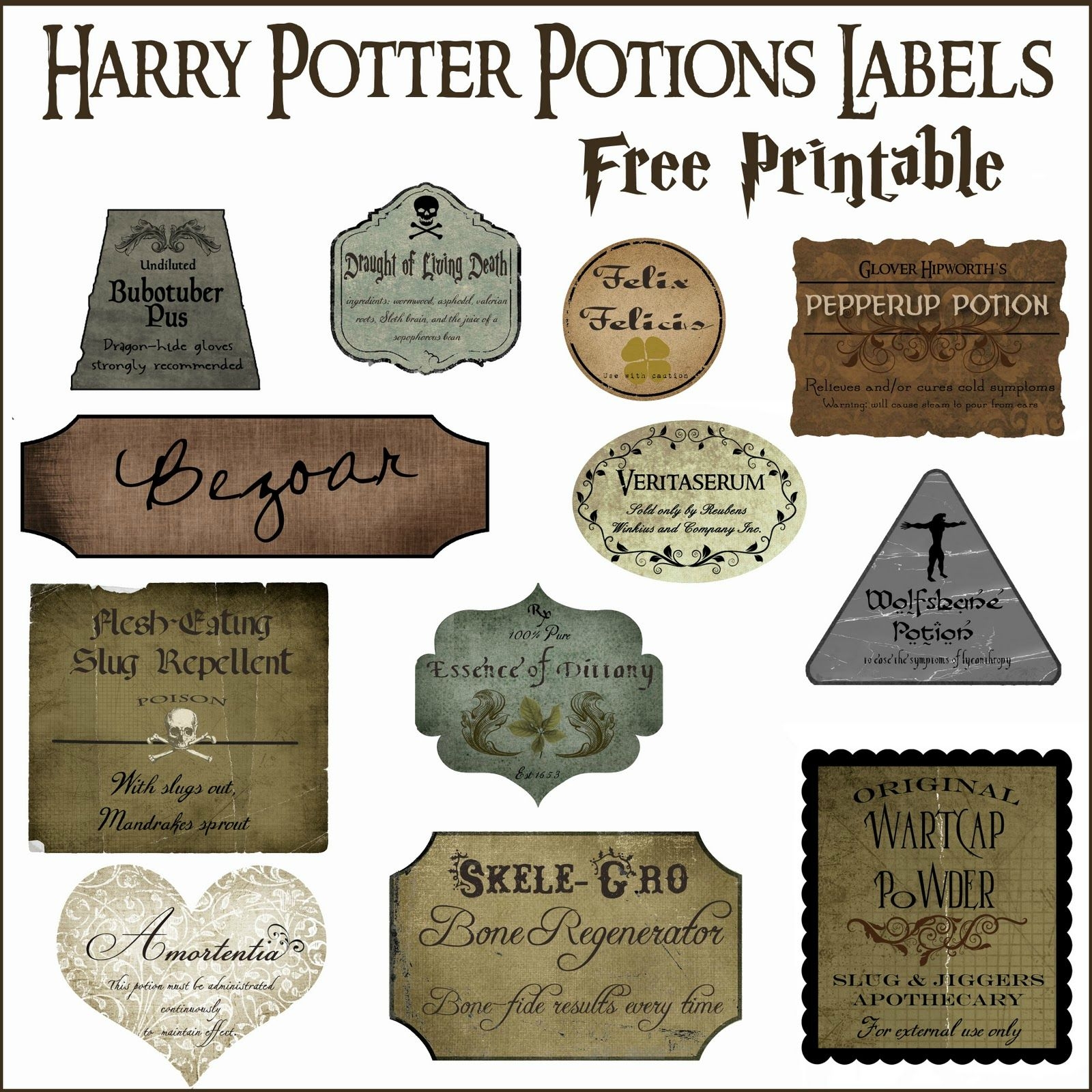 Potion Recr ez Les Objets Des Films Harry Potter Anniversaire 