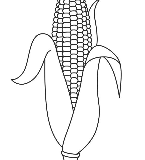 Printable Corn On The Cob Coloring Pages