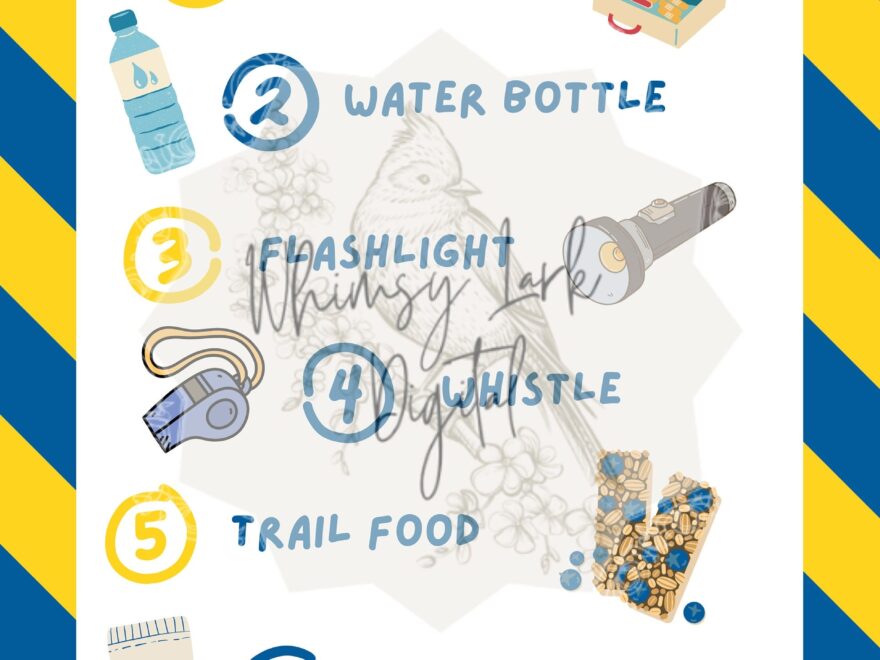 PRINTABLE Cub Scouts Six Essential Lists Pocket Size Etsy