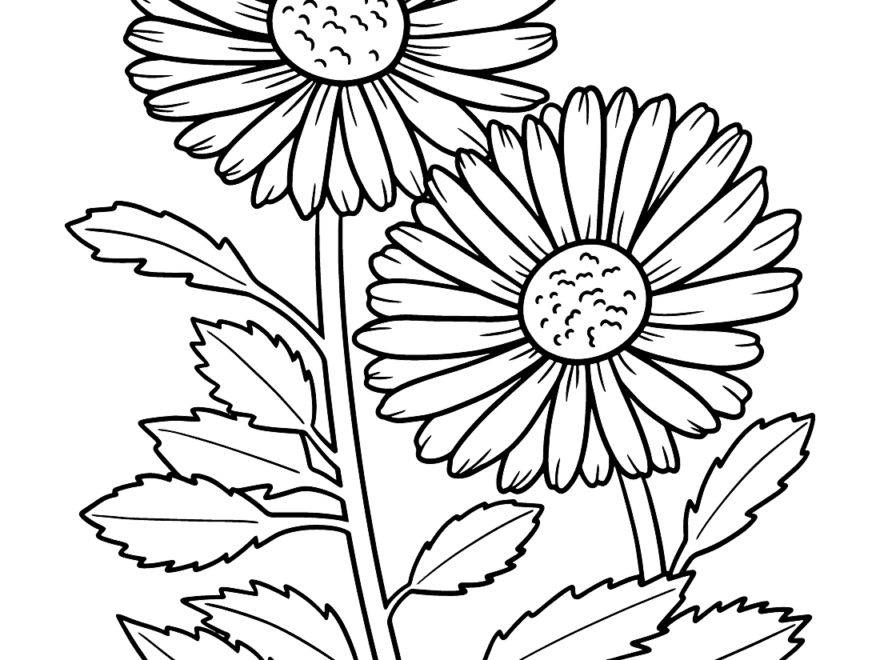 Printable Daisy Coloring Page Free Printable Coloring Pages