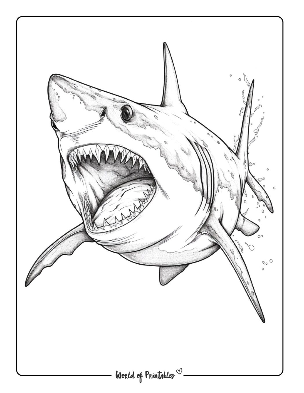 Printable Shark Coloring Pages At Sascontinentblog Blog