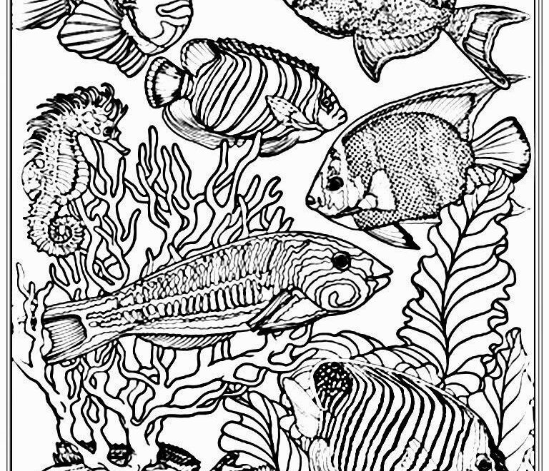 Printable Tropical Fish Coloring Pages For Adults Fischlexikon