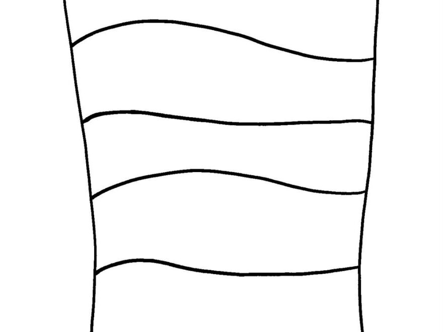 The Cat In The Hat Printables