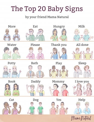 Sign Language For Toddlers Printables