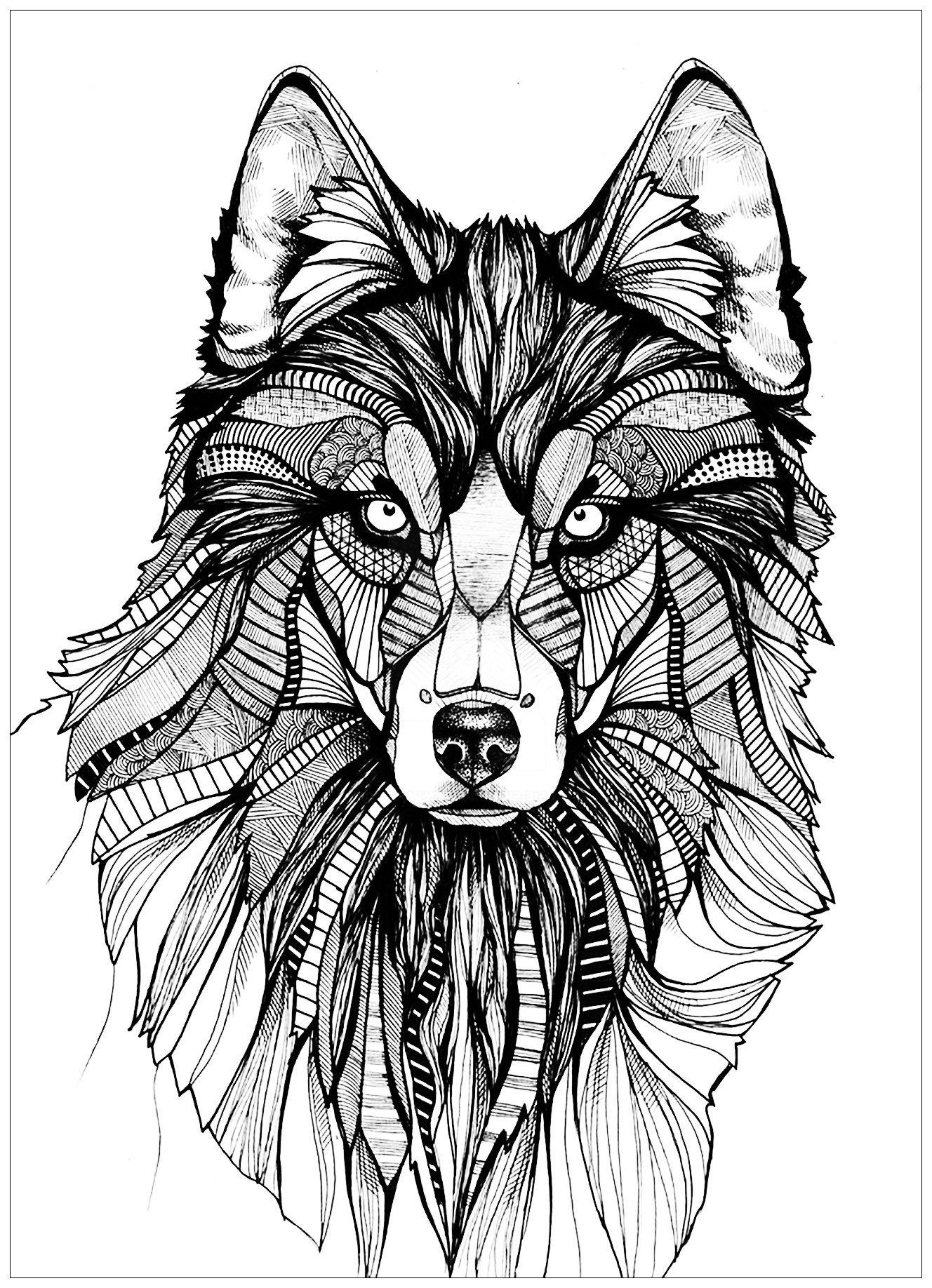 Wolf Coloring Pages Free Printable